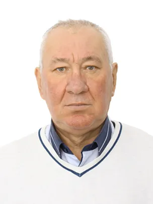 Шаин Владимир Иванович